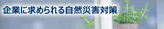 企業に求められる自然災害対策