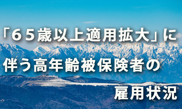 「65歳以上適用拡大」に伴う高年齢被保険者の雇用状況