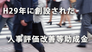 平成29年度に創設された人事評価改善等助成金