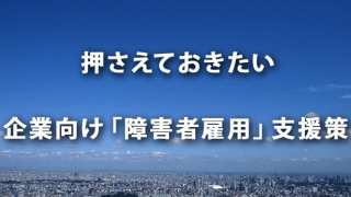 押さえておきたい 企業向けの「障害者雇用」支援策