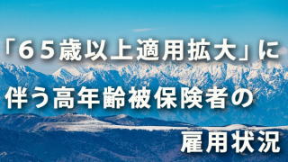 「65歳以上適用拡大」に伴う高年齢被保険者の雇用状況