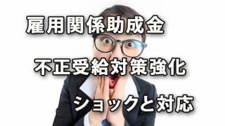 雇用関係助成金の不正受給対策強化ショックと対応