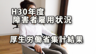 平成30年度 民間企業障害者雇用状況～厚生労働省集計結果