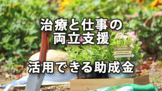 治療と仕事の両立支援を行う際に活用できる助成金